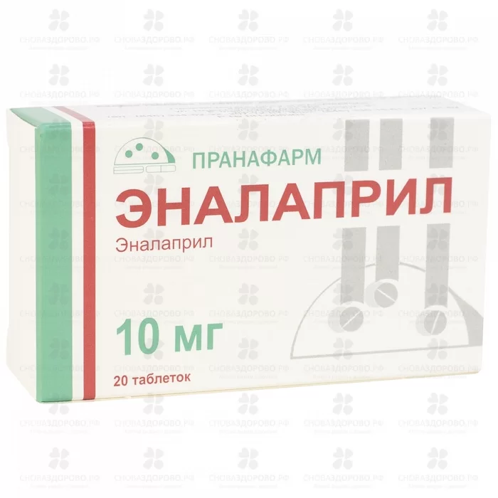Эналаприл таблетки 10мг №20 ✅ 00421/06865 | Сноваздорово.рф