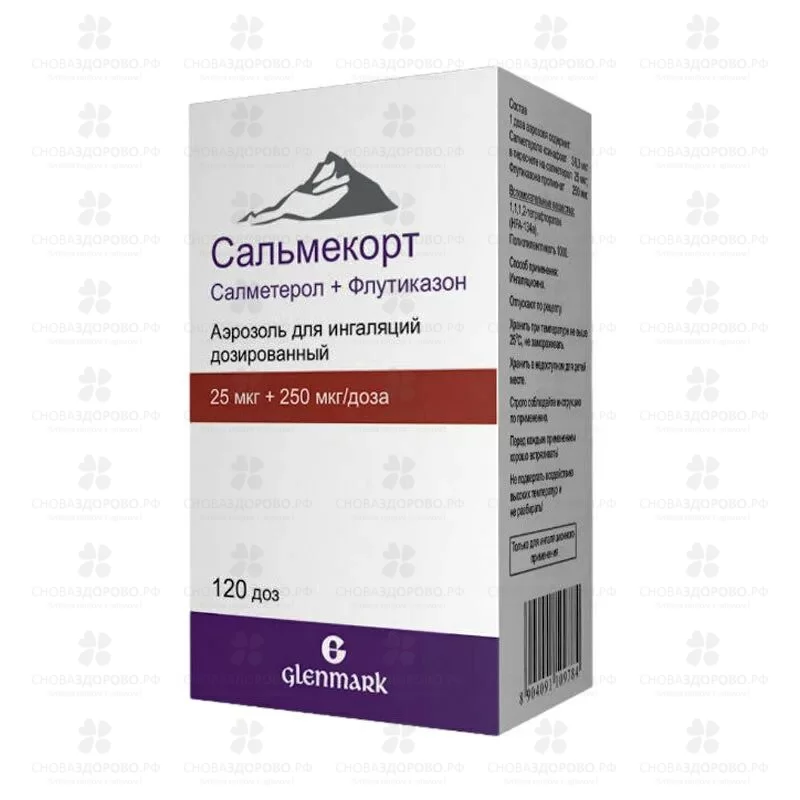 Сальмекорт аэрозоль для ингаляции дозированный 25мкг+250 мкг/доза 120 доз №1 ✅ 32443/06746 | Сноваздорово.рф