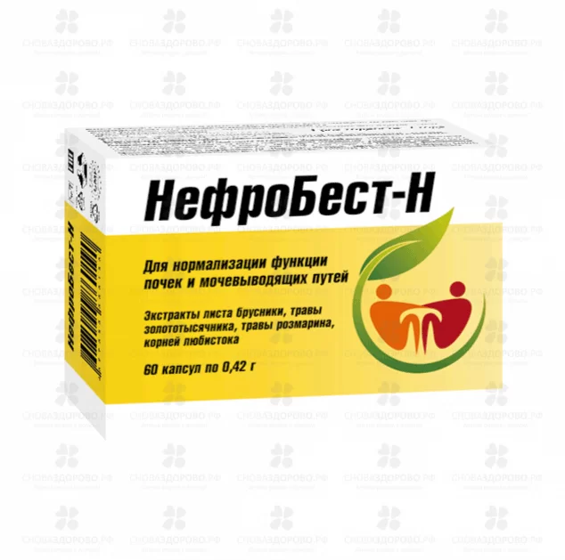 НефроБест-Н капсулы 0,42г №60 (БАД) ✅ 36005/06912 | Сноваздорово.рф