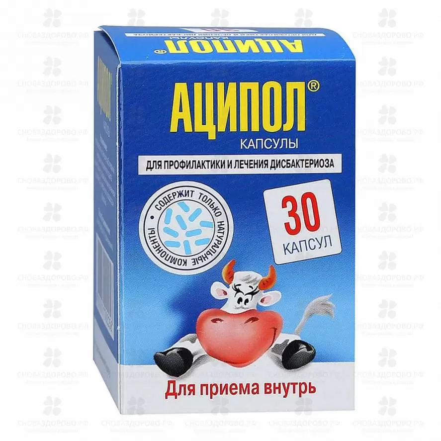 Аципол капсулы №30 ✅ 10182/06431 | Сноваздорово.рф