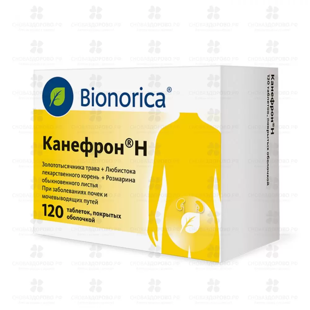 Канефрон Н таблетки покрытые оболочкой №120 ✅ 33240/08171 | Сноваздорово.рф
