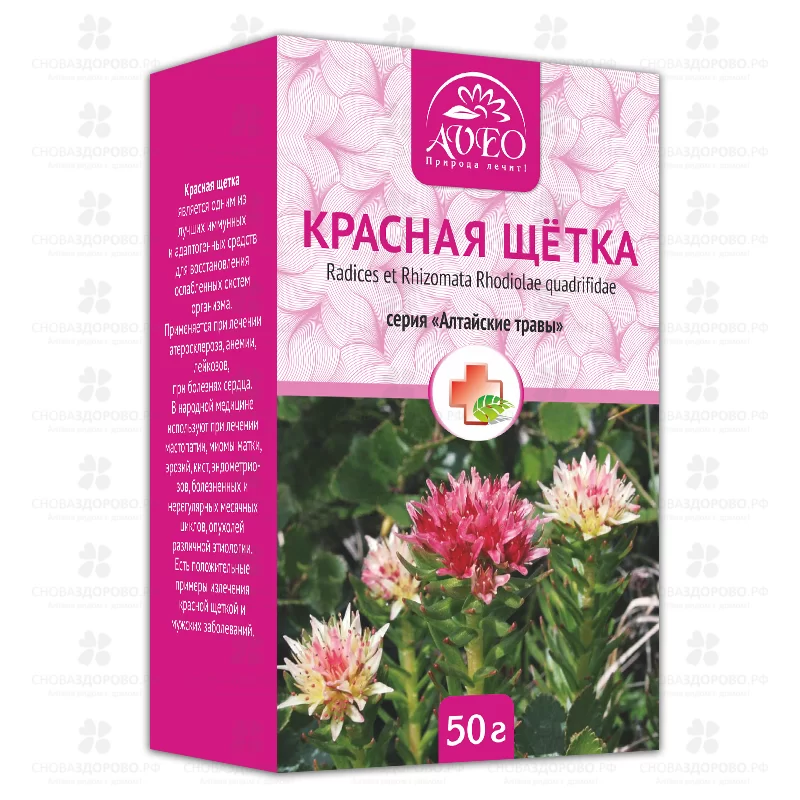 Красная щетка 50г (БАД) ✅ 26762/06698 | Сноваздорово.рф