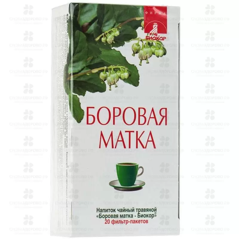 Боровая матка ф/п 2г №20 (чайный напиток) ✅ 11151/06721 | Сноваздорово.рф