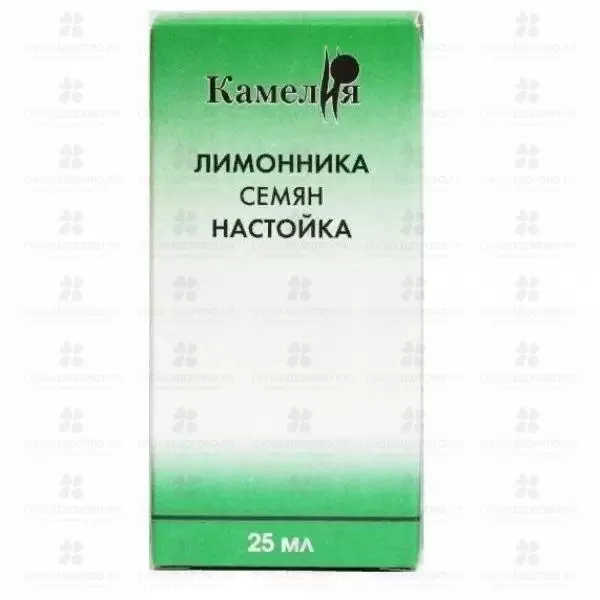 Лимонника семян настойка 25 мл флакон ✅ 11604/06439 | Сноваздорово.рф