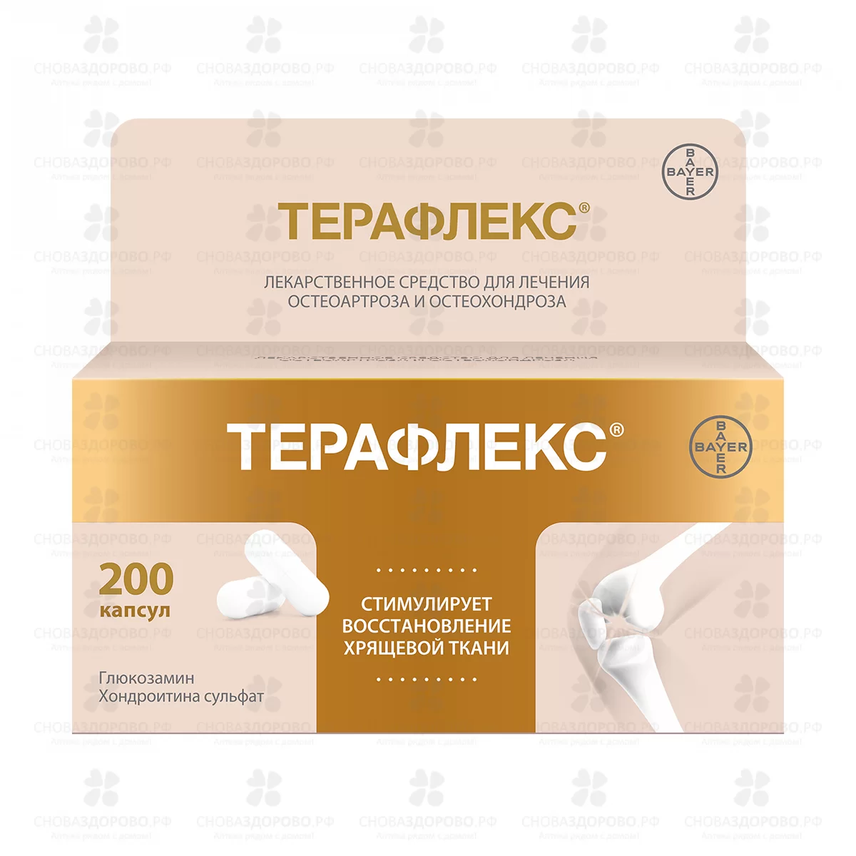 Терафлекс капсулы 500мг+400мг №200 ✅ 32381/07875 | Сноваздорово.рф