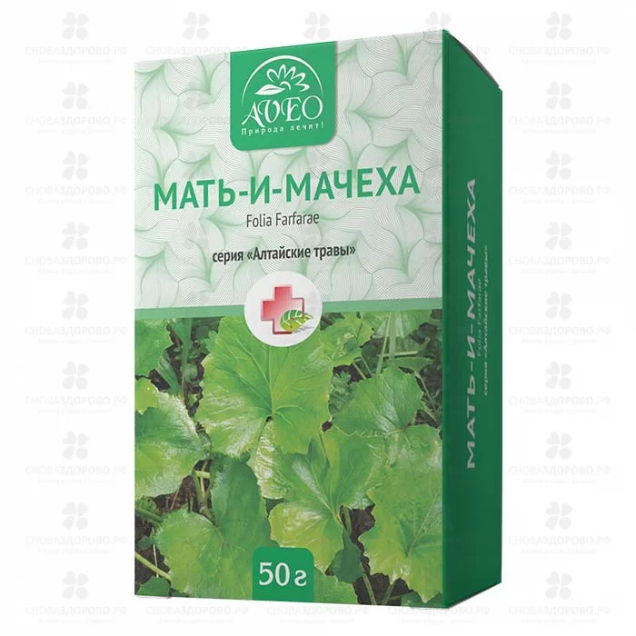Мать-и-мачеха лист 50г (БАД) ✅ 10567/06698 | Сноваздорово.рф