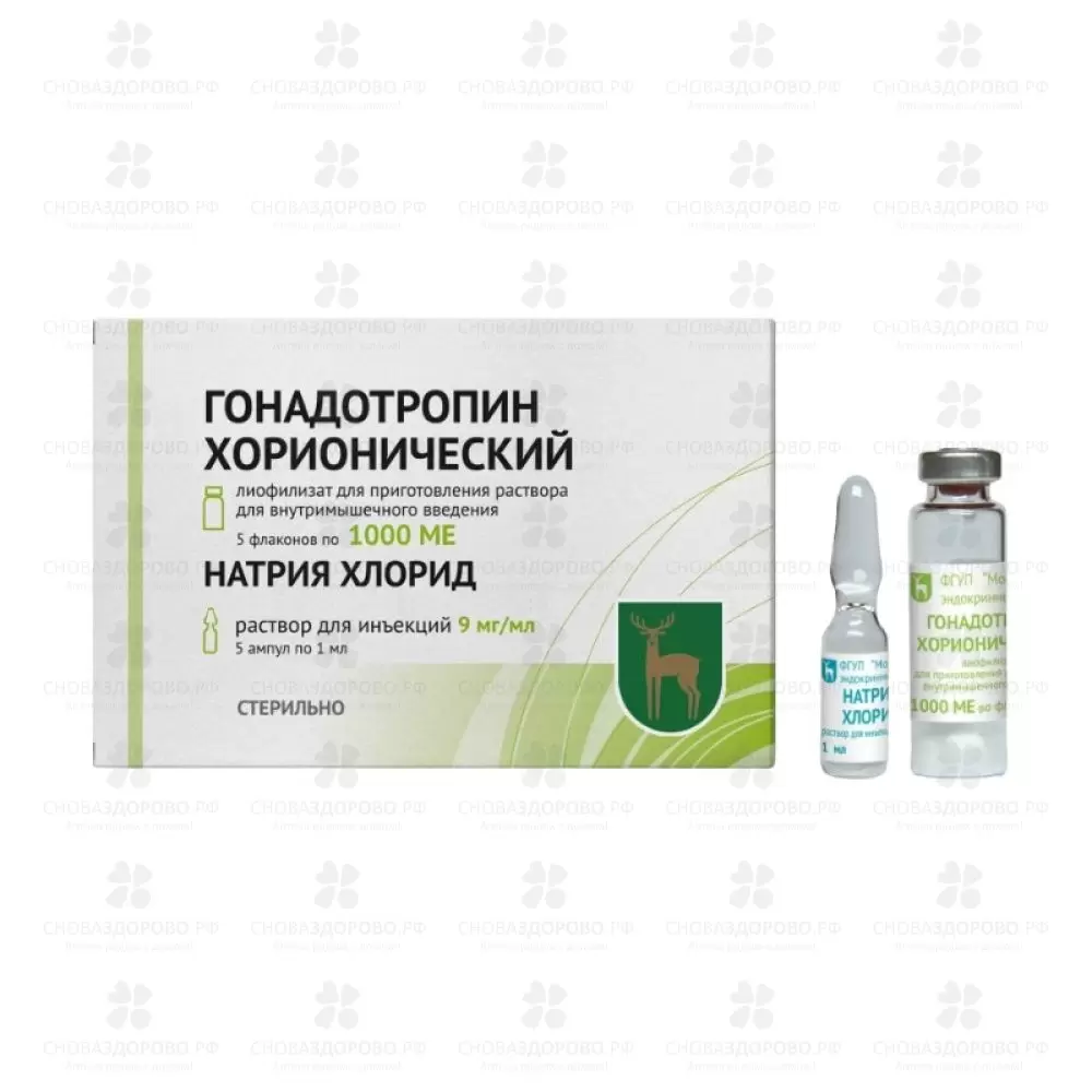 Гонадотропин хорионический лиофилизат для приготовления раствора для внутримышечного введения 1000МЕ флакон №5+растворитель ✅ 02055/06835 | Сноваздорово.рф