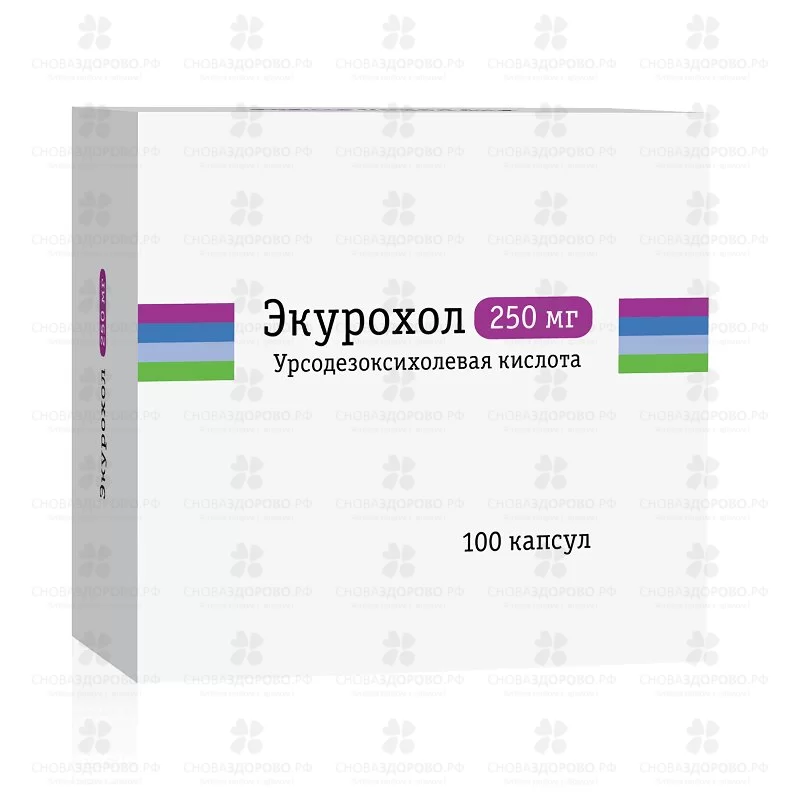 Экурохол капс. 250мг №100 ✅ 08029/06162 | Сноваздорово.рф