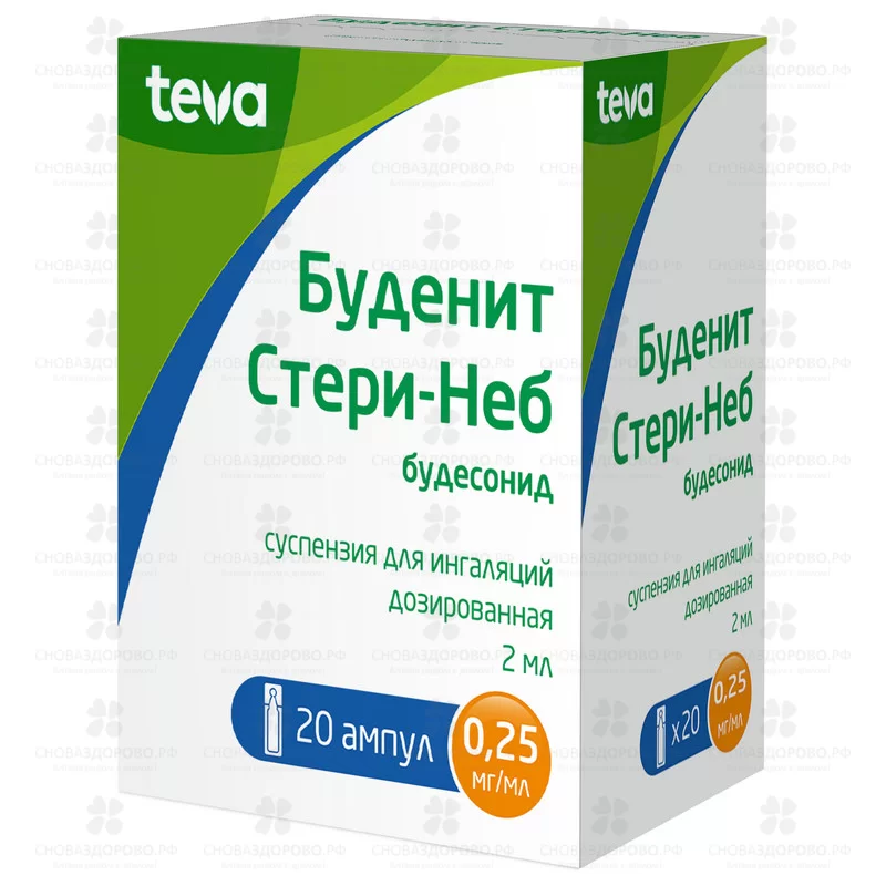 Буденит Стери-Неб суспензия для ингаляций дозированная 0,25мг/мл 2мл №20 амп. п/э ✅ 19491/06157 | Сноваздорово.рф