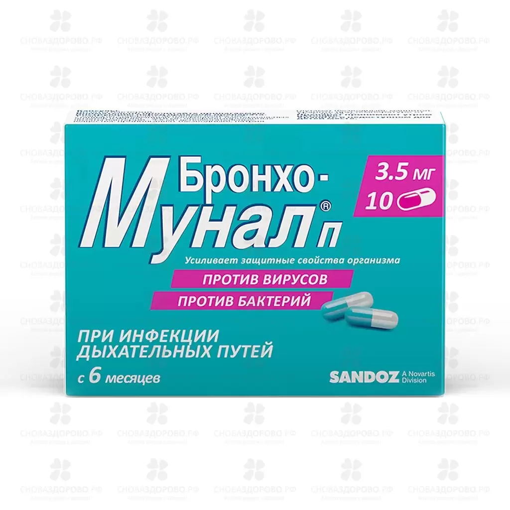 Бронхо-мунал П капсулы 3,5мг №10 ✅ 05510/06286 | Сноваздорово.рф