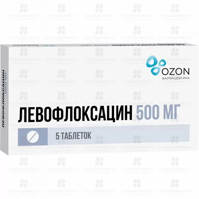 Левофлоксацин таблетки покрытые пленочной оболочкой 500мг №5 ✅ 11595/06162 | Сноваздорово.рф