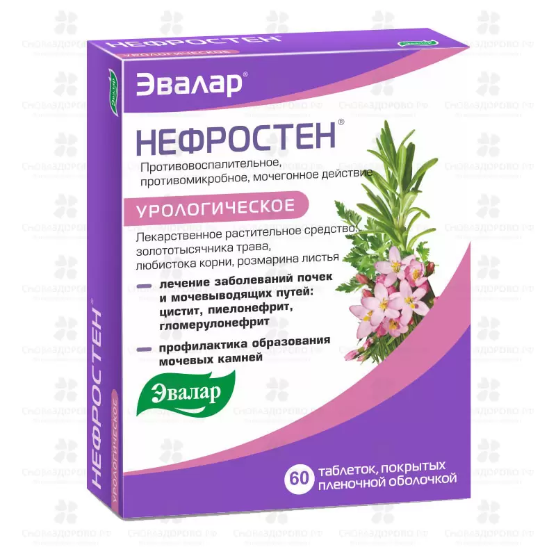 Нефростен таблетки покрытые пленочной оболочкой №60 ✅ 24706/06218 | Сноваздорово.рф