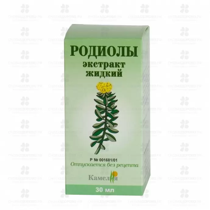 Родиолы экстракт жидкий 30мл флакон ✅ 00408/06439 | Сноваздорово.рф