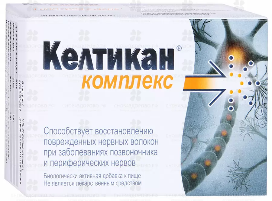 Келтикан Комплекс капсулы 205 мг №40 (БАД) ✅ 29043/06974 | Сноваздорово.рф