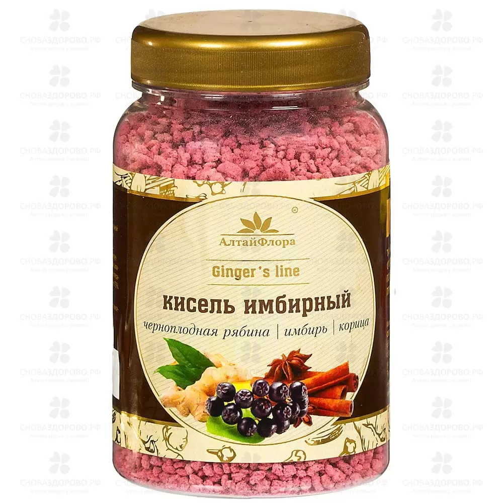 Кисель Имбирный с черноплодной рябиной и корицей 250г ✅ 28096/06656 | Сноваздорово.рф