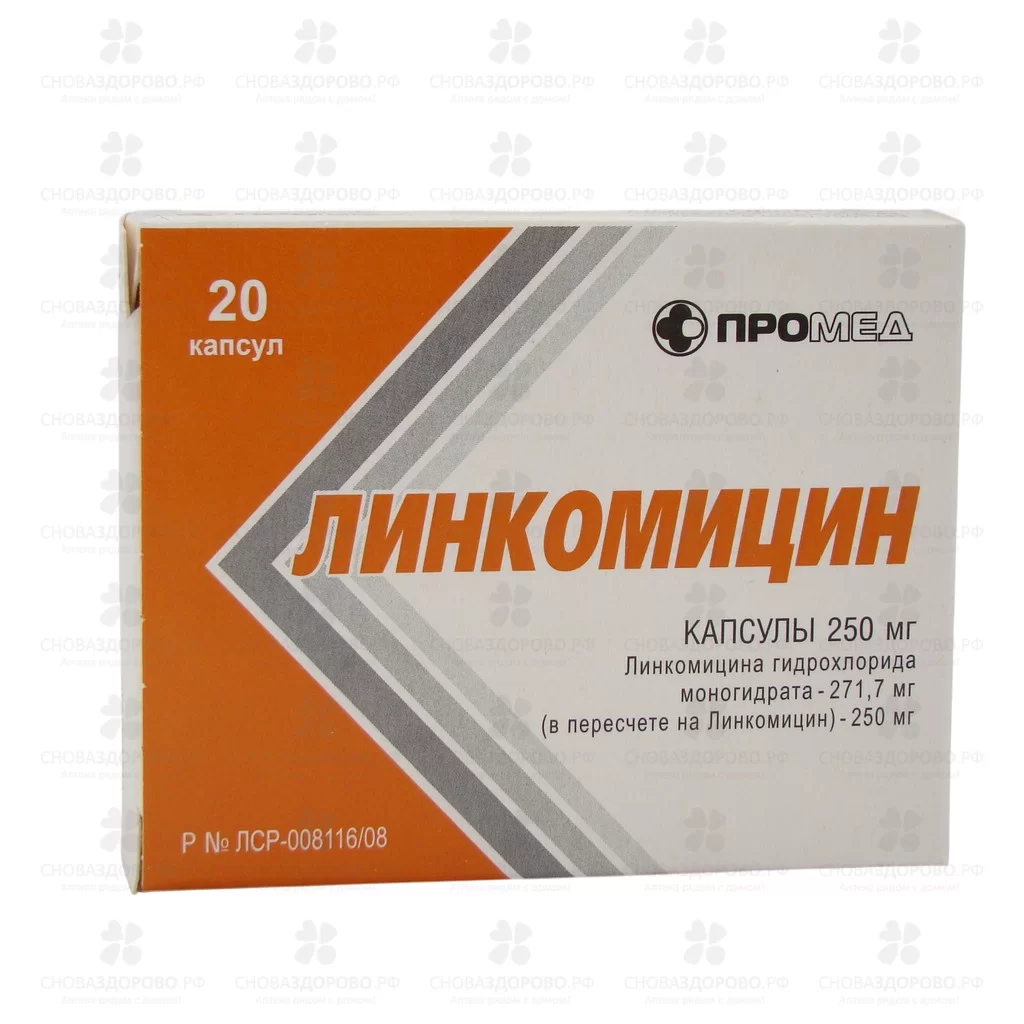 Линкомицин капсулы 250мг №20 ✅ 01753/06868 | Сноваздорово.рф