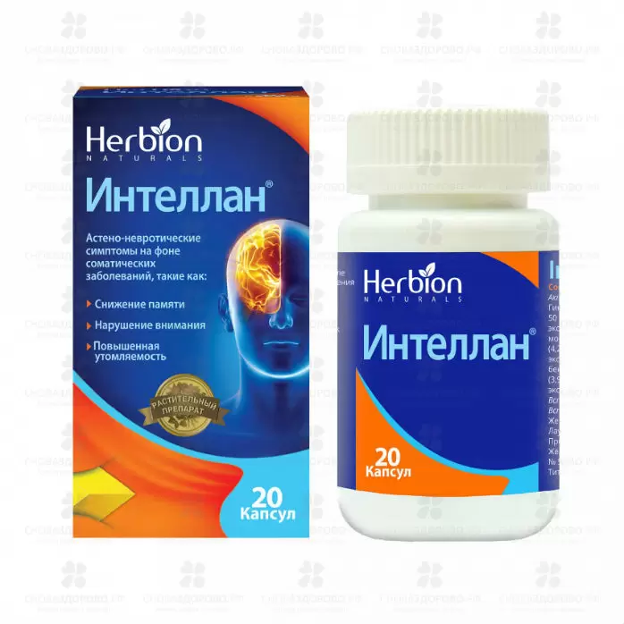 Интеллан капсулы №20 ✅ 26010/06209 | Сноваздорово.рф