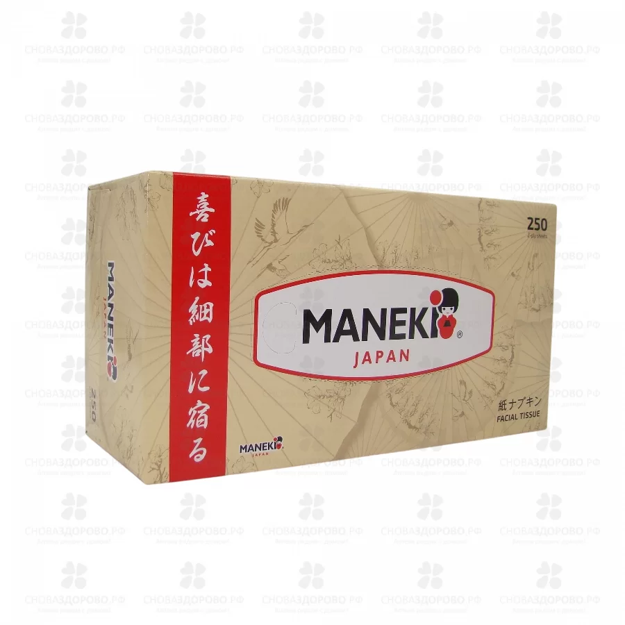 Салфетки бумажные МАНЕКИ Kabi 2-х сл. №250 (коробка) ✅ 10767/06995 | Сноваздорово.рф