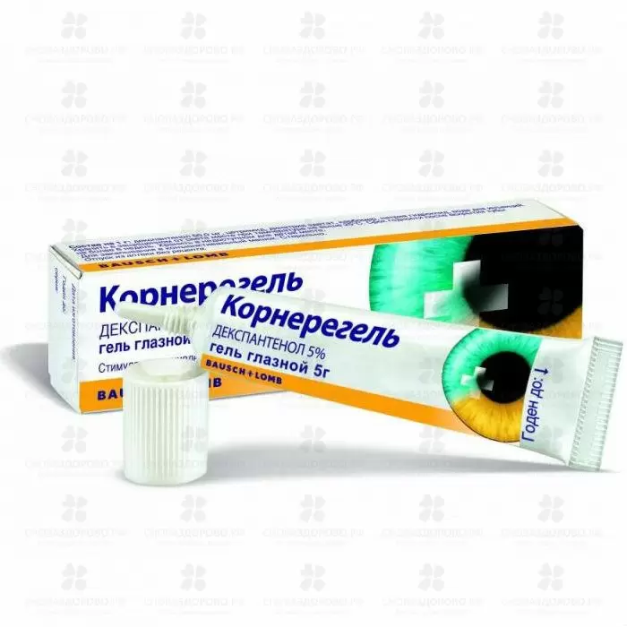 Корнерегель гель глазной 5% 5г ✅ 09706/06105 | Сноваздорово.рф