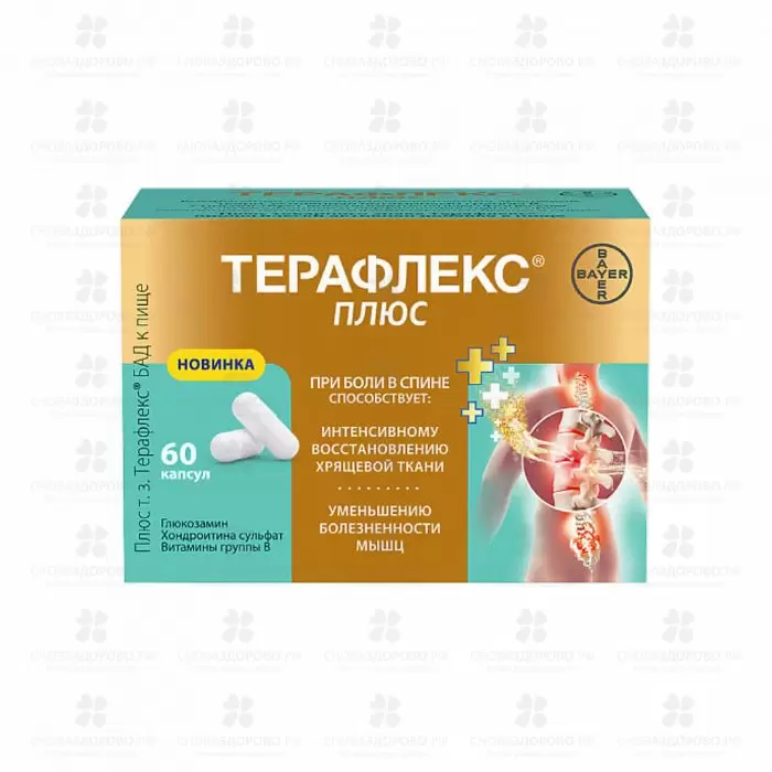 Терафлекс Плюс капсулы 740мг №60 (БАД) ✅ 34136/06253 | Сноваздорово.рф