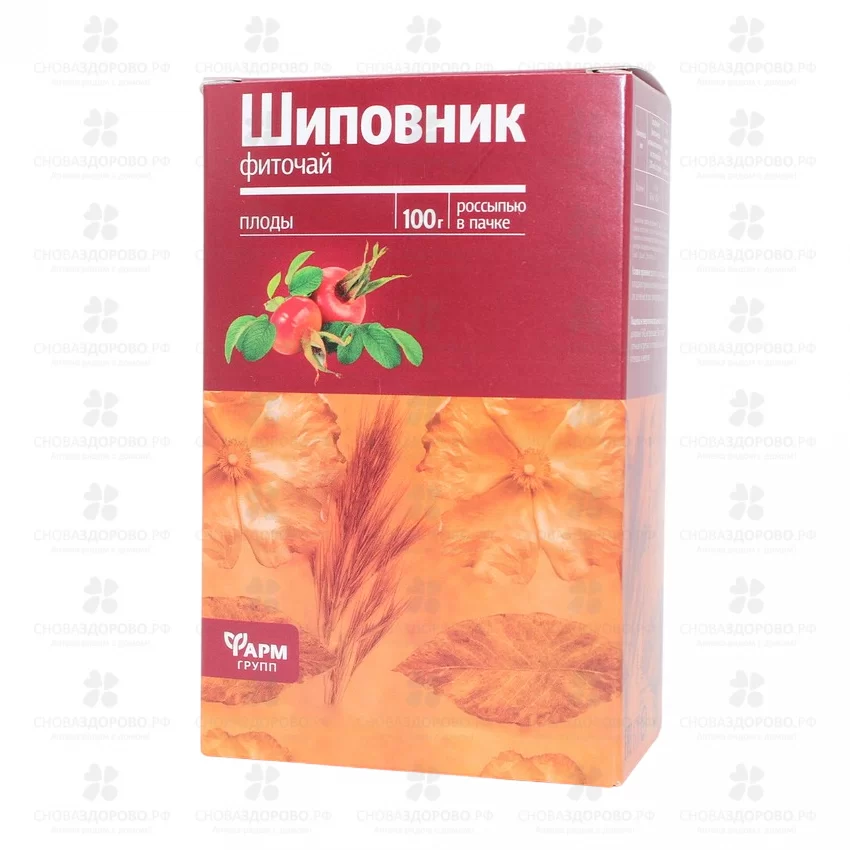 Шиповник плоды 100г (БАД) ✅ 06699/07015 | Сноваздорово.рф