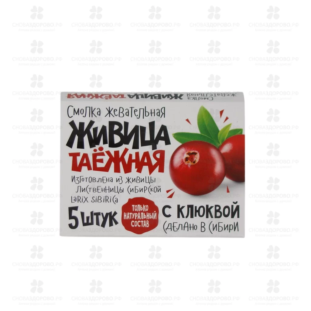 Смолка жевательная "Живица таежная" №5 клюква ✅ 11108/06953 | Сноваздорово.рф