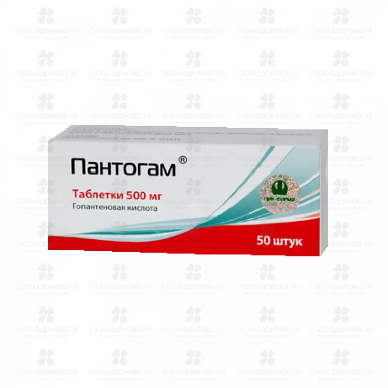 Пантогам таблетки 500мг №50 ✅ 20013/06169 | Сноваздорово.рф