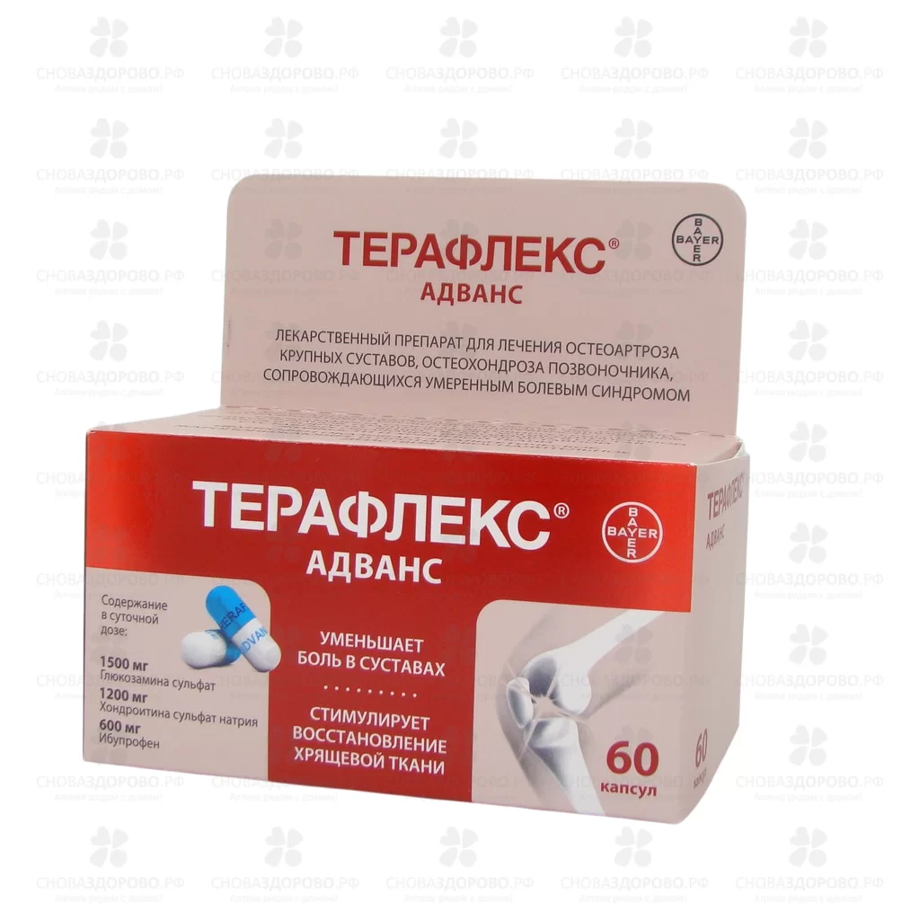 Терафлекс Адванс капсулы 250мг+100мг+200мг №60 ✅ 13352/06130 | Сноваздорово.рф