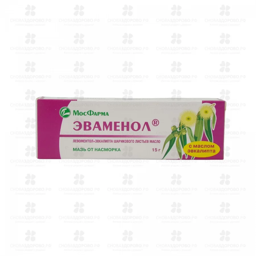 Эваменол мазь назальная 1%+1% 15г туба ✅ 07538/06300 | Сноваздорово.рф