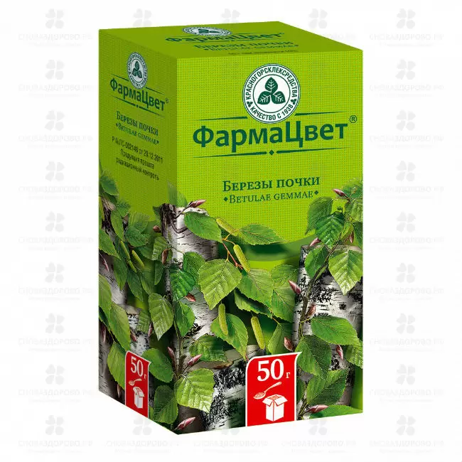Березы почки 50г ✅ 00826/06798 | Сноваздорово.рф