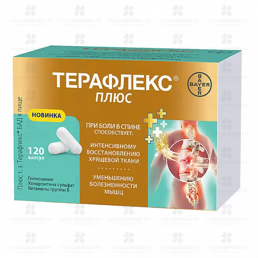 Терафлекс Плюс капсулы 740мг №120 (БАД) ✅ 34465/06253 | Сноваздорово.рф