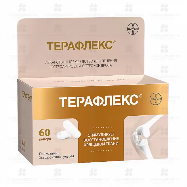 Терафлекс капсулы 500мг+400мг №60 ✅ 08066/07875 | Сноваздорово.рф