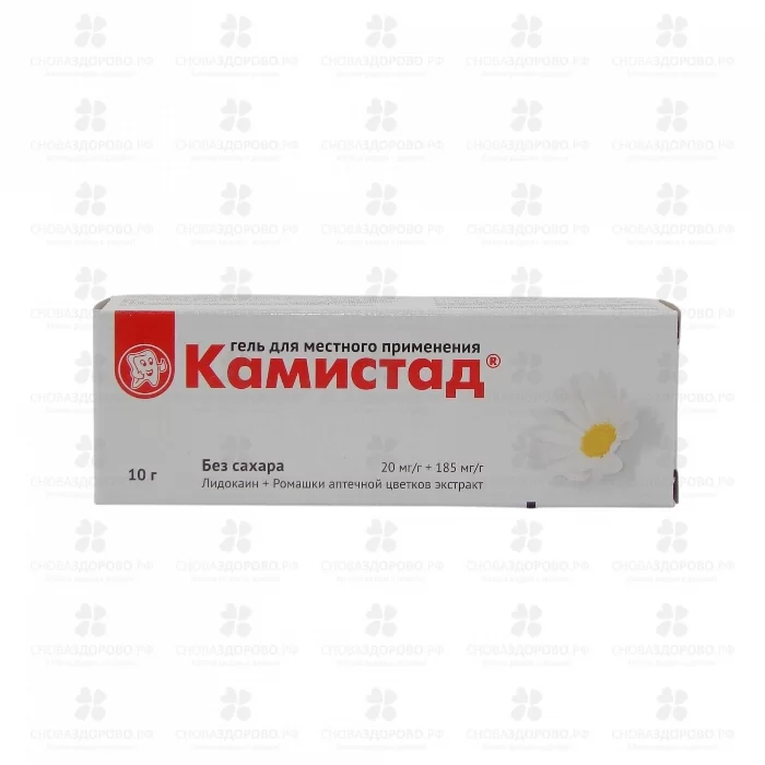Камистад гель для местного применения 20мг/г+185мг/г 10г  ✅ 00426/06062 | Сноваздорово.рф