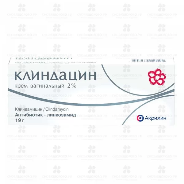 Клиндацин крем вагинальный 2% 19г туба ✅ 42470/06065 | Сноваздорово.рф