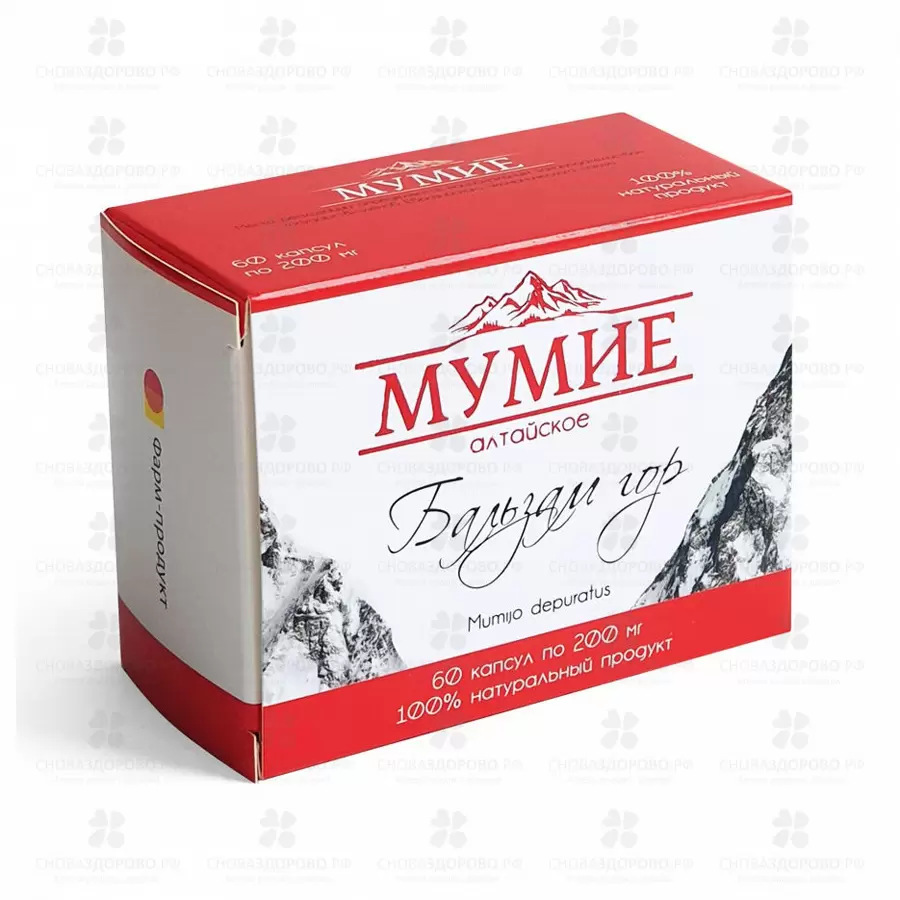 Мумие Алтайское "Бальзам Гор" капсулы 0,2г №60 (БАД) ✅ 15623/06910 | Сноваздорово.рф