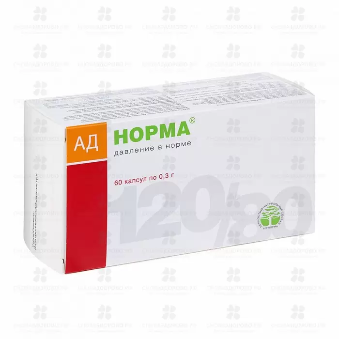 АД Норма капсулы №60 (БАД) ✅ 11616/06089 | Сноваздорово.рф