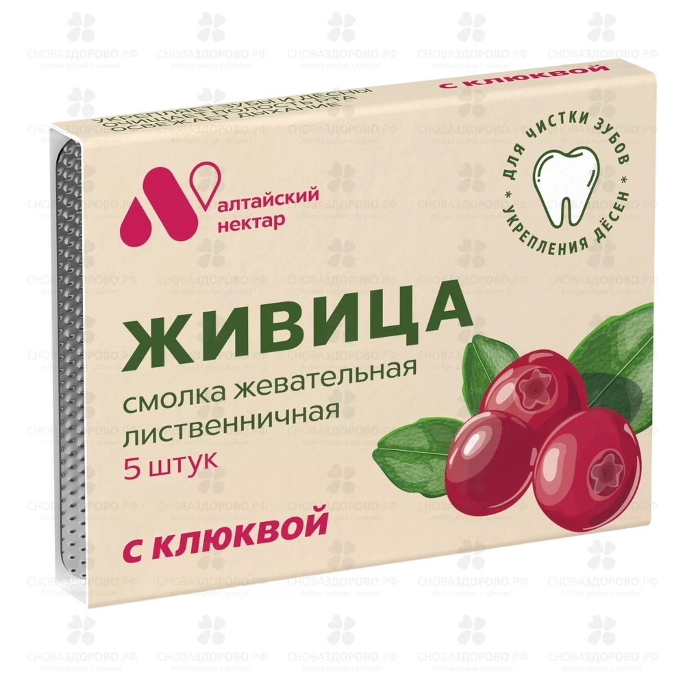 Смолка жевательная "Живица" с клюквой №5 ✅ 40817/06232 | Сноваздорово.рф