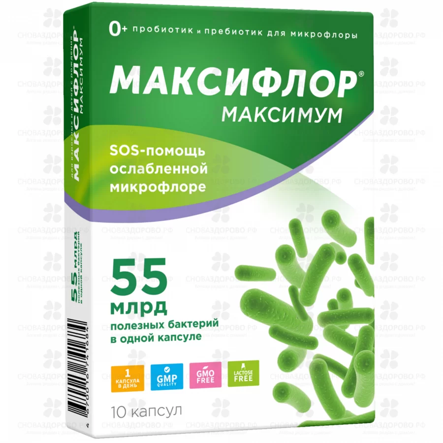 Максифлор Максимум капс. №10 (БАД) ✅ 35319/08501 | Сноваздорово.рф