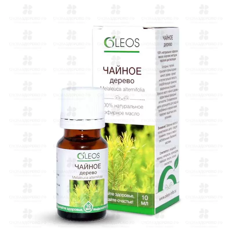 Масло Чайного дерева эфирное 10 мл флакон ✅ 08432/06360 | Сноваздорово.рф
